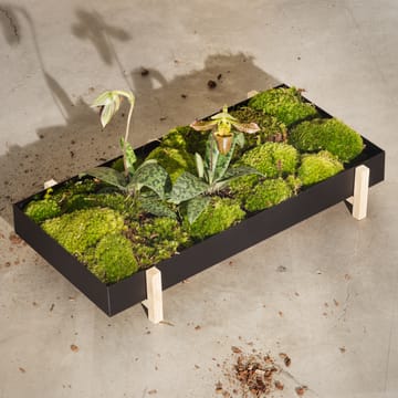 Donica na kwiaty Botanic  - czarny - Design House Stockholm