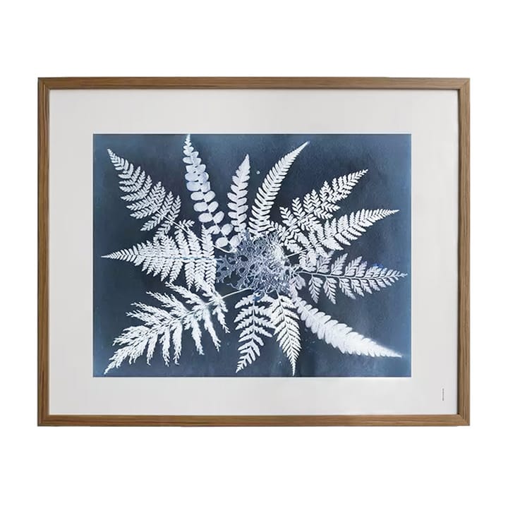 Plakat Fern star, 40x50 cm Fine Little Day