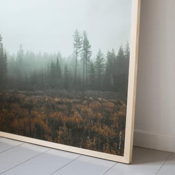 Plakat Skog  - 70 x 100 cm - Fine Little Day