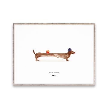 Plakat Doug the Dachshund - 30x40 cm - Paper Collective