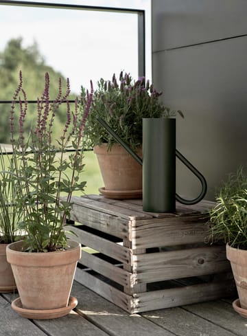 Konewka Bloom 2 litry - Pine - Stelton