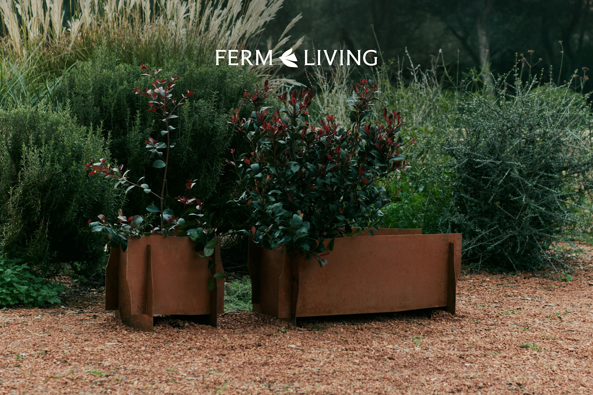Dwie postarzane metalowe donice z roślinami o zielonych i czerwonych liściach na żwirze. Logo Ferm Living.
